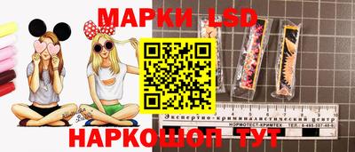 a pvp Шебекино
