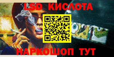 крисы Шахты