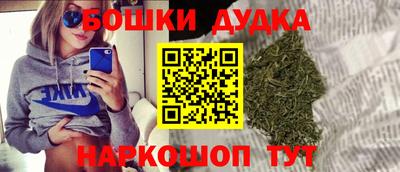крисы Шахты