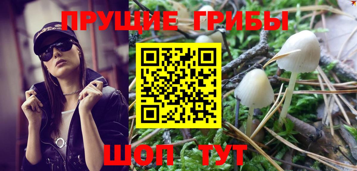 Галлюциногенные грибы MAGIC MUSHROOMS  Псилоцибиновые грибы GOLDEN TEACHER  Лабытнанги  Вход с VPN 